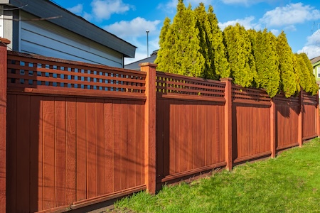 Why Your Conroe Deck is Turning Black: Mildew vs. Algae and How to Fix It